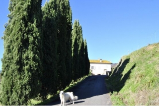 Agriturismo Il Giardino